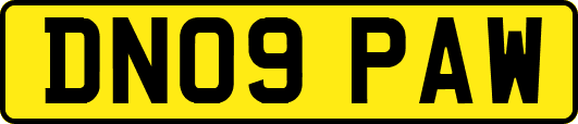 DN09PAW