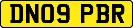 DN09PBR