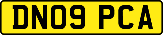 DN09PCA