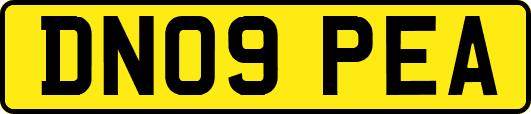 DN09PEA