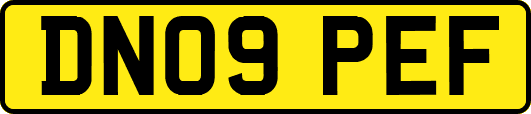 DN09PEF