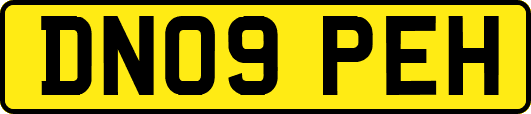 DN09PEH