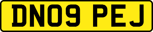 DN09PEJ
