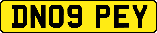 DN09PEY