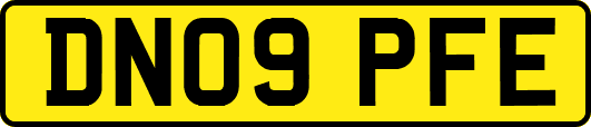 DN09PFE