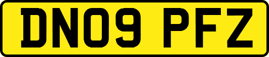 DN09PFZ