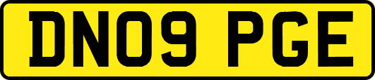 DN09PGE