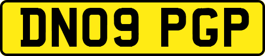 DN09PGP