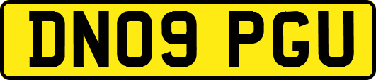DN09PGU