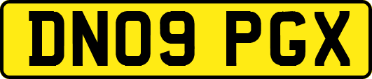 DN09PGX