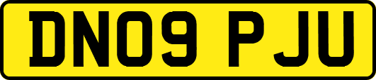 DN09PJU
