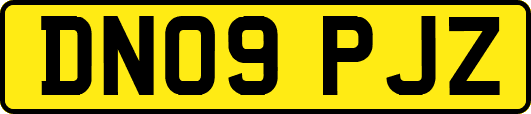 DN09PJZ