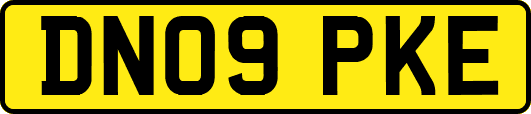 DN09PKE