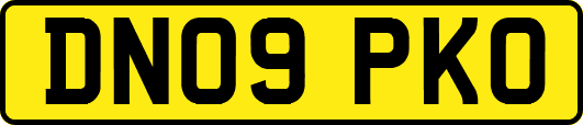 DN09PKO