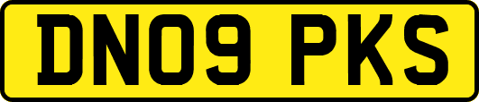 DN09PKS