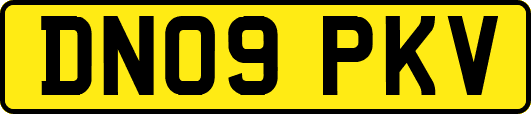 DN09PKV