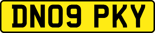 DN09PKY