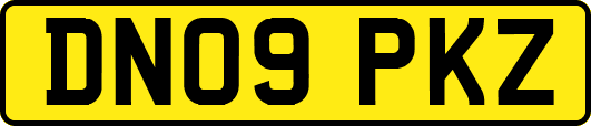 DN09PKZ