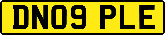 DN09PLE