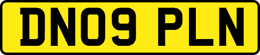 DN09PLN