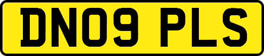 DN09PLS