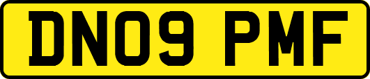 DN09PMF