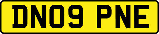 DN09PNE