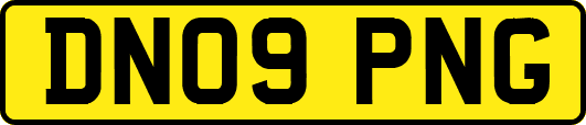 DN09PNG