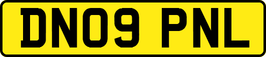 DN09PNL