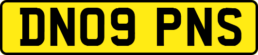 DN09PNS