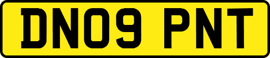 DN09PNT