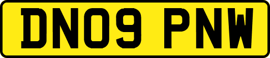 DN09PNW