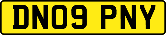 DN09PNY