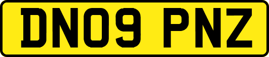 DN09PNZ