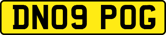 DN09POG