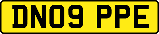 DN09PPE