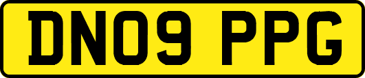 DN09PPG