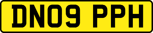 DN09PPH