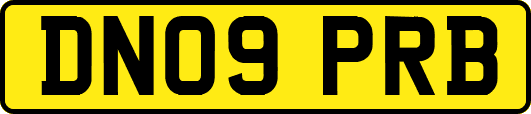 DN09PRB