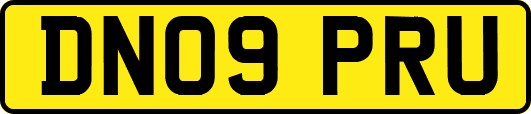 DN09PRU