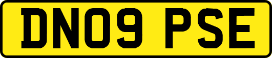 DN09PSE