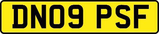 DN09PSF