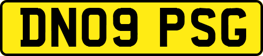 DN09PSG