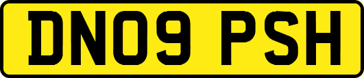 DN09PSH