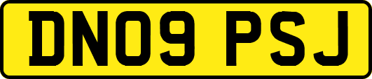 DN09PSJ