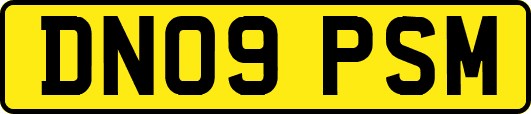 DN09PSM