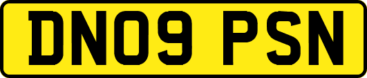 DN09PSN