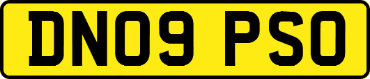 DN09PSO