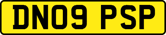 DN09PSP