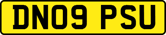 DN09PSU